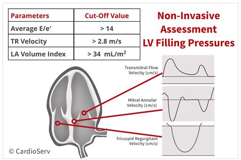 normal Lv filling pressure